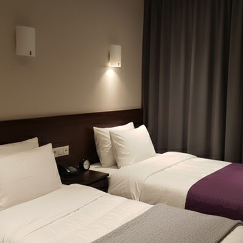 Chambre avec 2 lits pour deux voyageurs